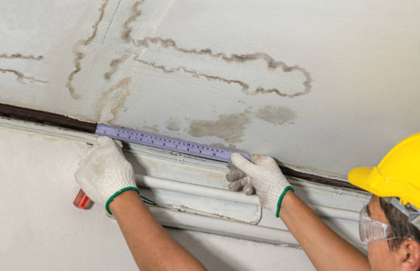 Reliable Water Damage contractor in Niwot, CO by Water Damage Irwin